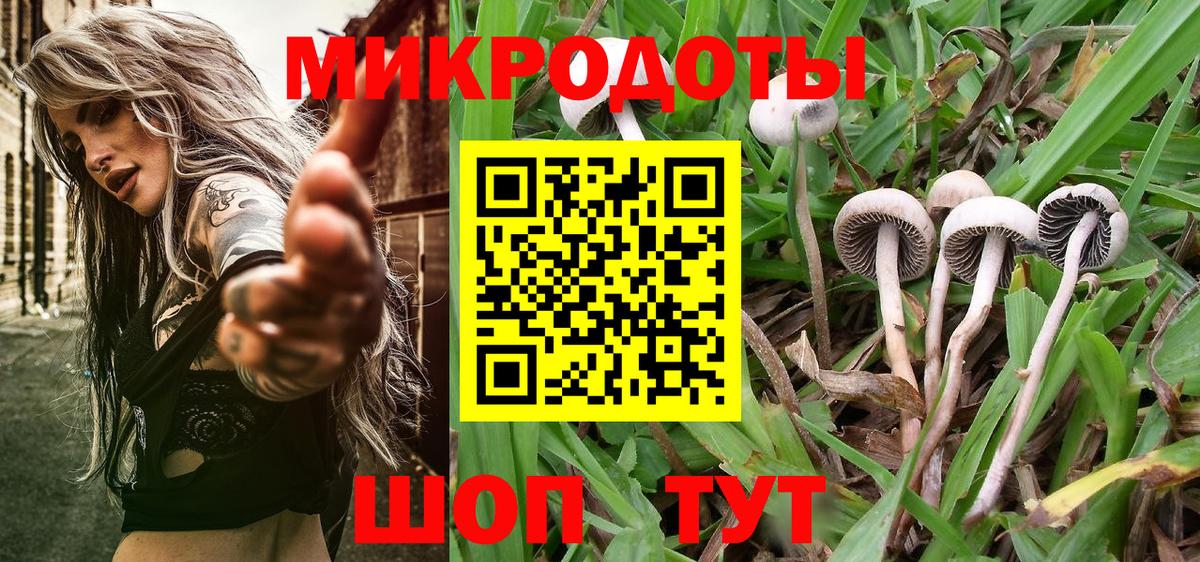 Сосновоборск  Галлюциногенные грибы Magic Shrooms  Вход с VPN  Псилоцибиновые грибы прущие грибы 
